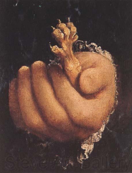 Lorenzo Lotto Man with a Golden Paw (mk45)